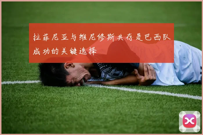 拉菲尼亚与维尼修斯共存是巴西队成功的关键选择
