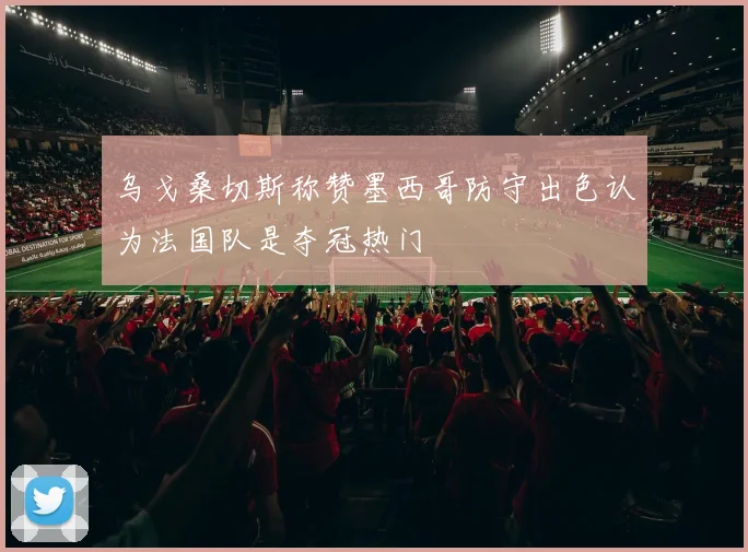 乌戈桑切斯称赞墨西哥防守出色认为法国队是夺冠热门